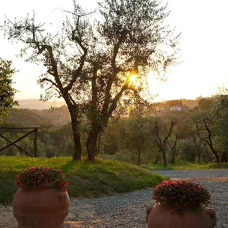 팜스테이 Agriturismo Cignan Rosso 카스텔리나인키안티